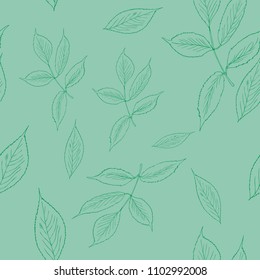 Hand drawn vector illustration of leaves.