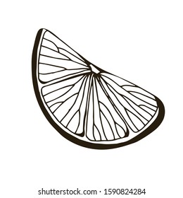 Hand drawn vector illustration of lemon, сitrus, lime. Isolated on white background. Tropical summer fruit. Detailed citrus drawing Great for tea, juice, natural cosmetics. Black and white sketch.