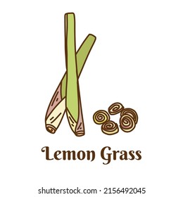 Hand drawn vector illustration of lemon grass isolated on white background.