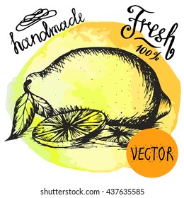 Hand drawn vector illustration - of Lemon. Branch. blossom. Ink drawing, each image is separate, easy to edit. Sliced yellow.  object on a bright yellow background watercolor