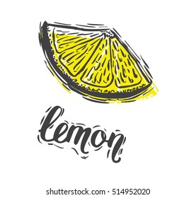 Hand drawn vector illustration Lemon sketch