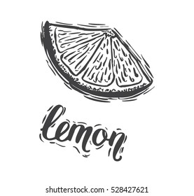 Hand drawn vector illustration Lemon sketch