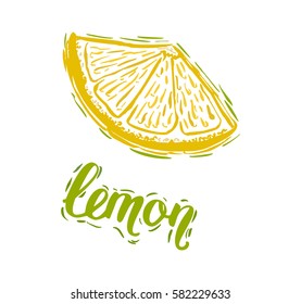 Hand drawn vector illustration Lemon sketch