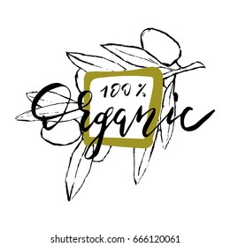 Hand drawn vector illustration and lettering. olive branch  for olive oil labels, restaurant, natural products. perfect stickers and badges for your business