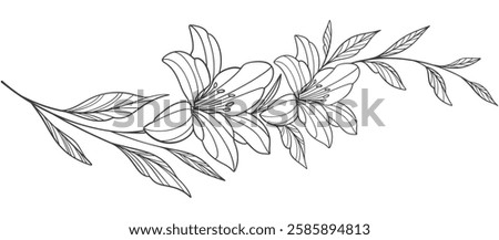 Hand drawn vector illustration of lily flower. Floral wreath vector eps
