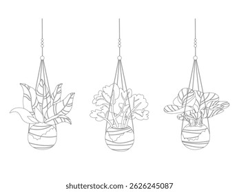 Hand drawn vector illustration. Linear image of kokedama. Cute coloring page for gardeners. Growing a plant without a pot in the Japanese way.