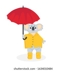 Hand drawn vector illustration of a little koala bear in yellow raincoat and rubber boots walking under an red umbrella in cartoons style. Stock image isolated on white background. 