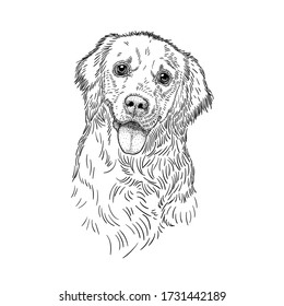 Hand drawn vector illustration of lovely Labrador Retriever, cute realistic portrait of Golden Retriever dog breed. Engraving, linocut black and white style. Logo design, poster, bag, banner, package