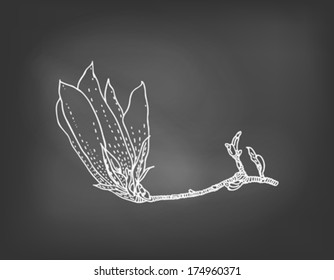 Hand drawn vector illustration of magnolia flower on blackboard. Template and concept for coffee shop menu, tea house decor, spring sale coupon, thank you note, perfume box design, wedding invitation