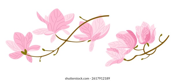 Hand drawn vector illustration of magnolia branches with soft pink blossoms and delicate curves. This image evokes the concept of elegance, spring bloom and natural beauty