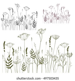 Hand drawn vector illustration of meadow. Thin delicate lines silhouettes of different herbs and plants - lavender, dill, fennel. Isolated on white background. EPS8.