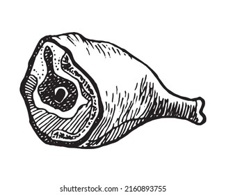 Hand drawn vector illustration of meat on the bone