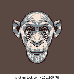 Hand drawn vector illustration of the monkey face.