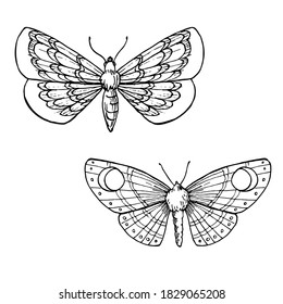 Handgezeichnete Vektorgrafik von Motten. Magische Umriss-Clipkunst des Insekts für Logo, Druck, Karte, Textil-Design. Alchimie, Magie, Esoterie, Okkult.