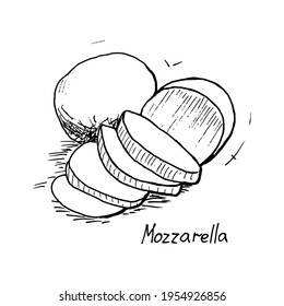Hand drawn vector illustration – mozzarella cheese. Black and white linear sketch