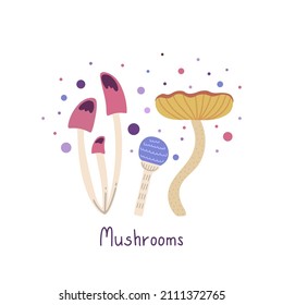 Hand drawn vector illustration of mushrooms. Poisonous inedible mushrooms