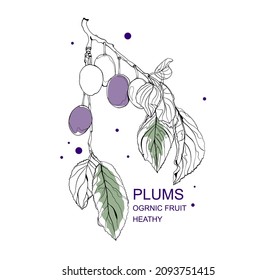 Ilustración de vector dibujada a mano papel de fondo natural,Plumas vectoriales.Fondo vectorial de frutas.Papel de fondo natural