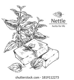 Handgezeichnete Vektorgrafik von Nesselseife, Blättern und Stielen für Kosmetik, Medizin, Behandlung, Aromatherapie, Verpackungsdesign-Gesundheit.