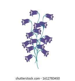 Hand drawn vector illustration of a nice bouquet of bells . Decorative wildflowers isolated on white background.