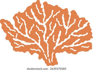 Hand drawn vector illustration of ocean coral. Isolated sea theme printing for souvenir decoration. Single illustration of marine life. Monochrome drawing of coral. Ocean aesthetic for interior design