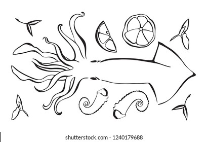 Hand drawn vector illustration of octopus as seafood. Poulpe with lemon and herbs. Black isolated on white background.