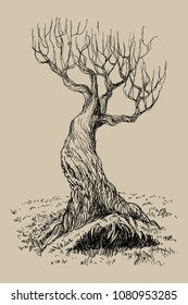 Hand drawn vector illustration of old mystical tree. Isolated illustration engraved style. Retro style.