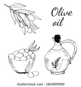 Hand drawn vector illustration olive oil and olives. Set of olive branch illustrations. Design elements for poster, label, emblem, sign, banner. Vector illustration.
