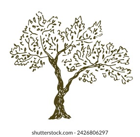 Hand drawn vector illustration. Olive tree, lush foliage. Organic oil production, packaging design, label.