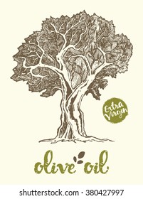 Hand drawn vector illustration of olive tree