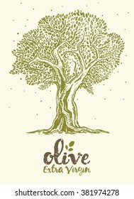 Olive Tree Drawing Images, Stock Photos & Vectors | Shutterstock