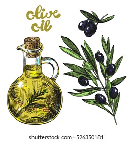Hand drawn vector illustration olive oil and olives.  Sketch style. Use for 
package design and web.