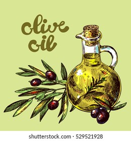 Hand drawn vector illustration olive oil and olives.  Sketch style. Use for package design and web.