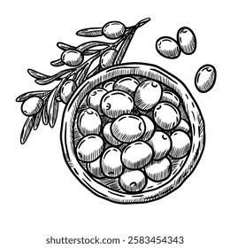 Hand drawn vector illustration of olives, restaurant appetizer, Spanish food