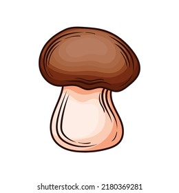 Сhampignons, hand drawn, vector illustration, on a white background
