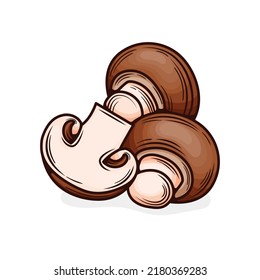 Сhampignons, hand drawn, vector illustration, on a white background