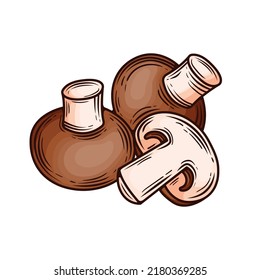 Сhampignons, hand drawn, vector illustration, on a white background