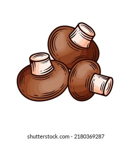 Сhampignons, hand drawn, vector illustration, on a white background