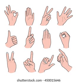 Hand drawn vector illustration on a white background. Vector set of hand collection. 