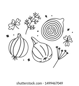 hand drawn vector illustration of onion cooking ingredient in modern sketch hanndrawn style. Linear drawing of vegetable with seasoning isolated on white background. Black and white outline contour.