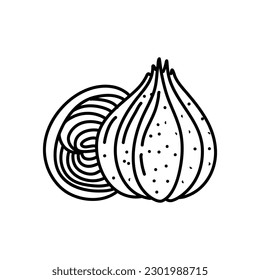hand drawn vector illustration of onion cooking ingredient in modern sketch hanndrawn style isolated on white background
