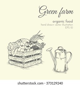 hand drawn vector illustration of organic products. sketch farmer harvest vegetables and watering can. healthy food