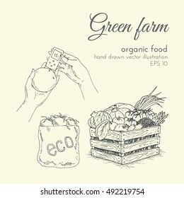 hand drawn vector illustration of organic products. sketch farmer harvest vegetables and watering. healthy food, natural eco-friendly farm products