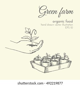 hand drawn vector illustration of organic products. sketch farmer products. healthy eco food