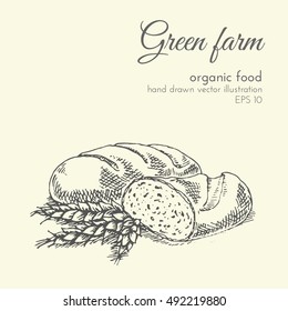 hand drawn vector illustration of organic products. sketch farmer products. healthy eco food