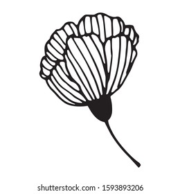 Hand drawn vector illustration of ornamental flower single element. Black outlines isolated on white background. Doodle style. Decoration for greeting cards, gifts, wrapping paper etc.