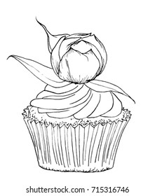 Hand drawn vector illustration, outline, lineart. Cupcake with crean and peony bud