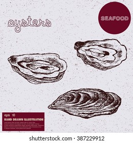 Hand drawn vector illustration of oysters. Vintage sketch of seafood.