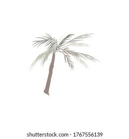 Hand drawn vector illustration of palm tree. Neutral colors. Pencil texture