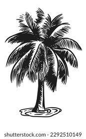 Ilustración vectorial dibujada a mano de la palmera. Aislado sobre fondo blanco. Esbozo de tinta