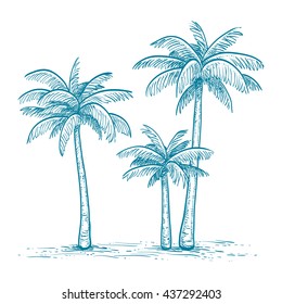 Hand Drawn Vector Illustration Of Palm Trees  Isolated On White Background. Sketch. Retro Style.